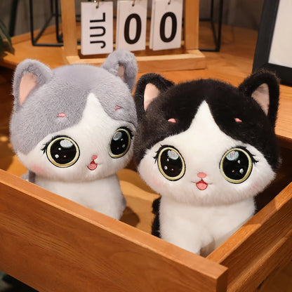 Adorable peluche chaton aux grands yeux