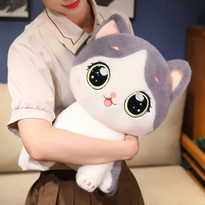 Adorable peluche chaton aux grands yeux